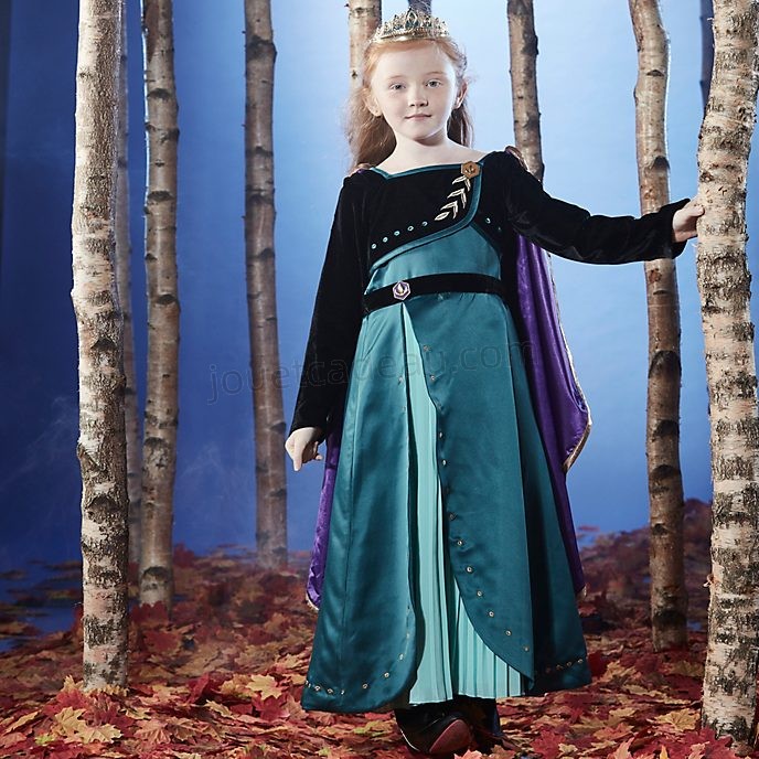Coffret déguisements Elsa et Anna La Reine des neiges 2 fille – Déguisements  cadeaux pas chers, Boutique Arlequin
